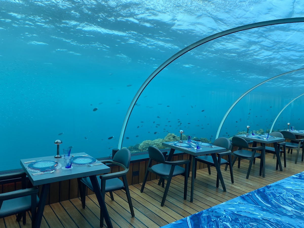 5.8 Undersea Restaurant photo 3