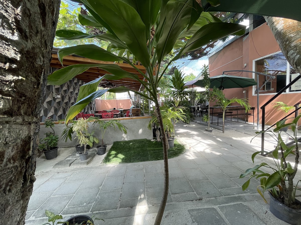 Alanaasi Cafe&Bistro photo 3